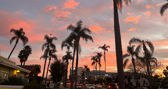 A street with palm trees and cars in the distance
Description automatically generated