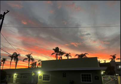 A building with palm trees and a sunset
Description automatically generated